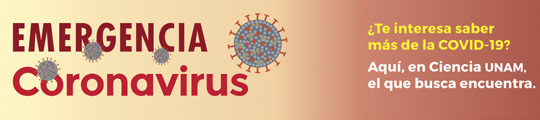 Emergencia Coronavirus