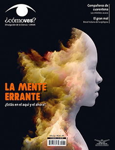 ¿Cómo ves?: La mente errante