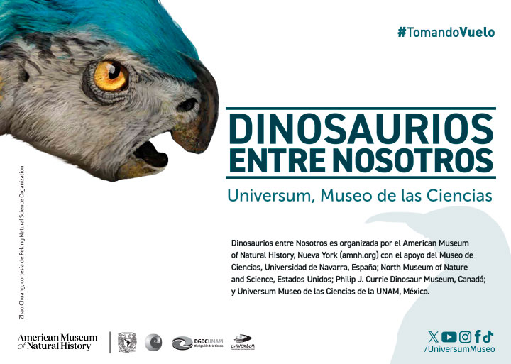 Programa de actividades Exposición Dinosaurios entre nosotros