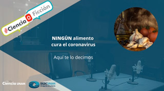 Ningún alimento cura el coronavirus