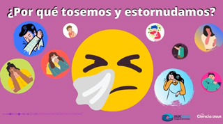 ¿Por qué tosemos y estornudamos?