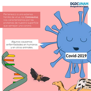 COVID-2019
