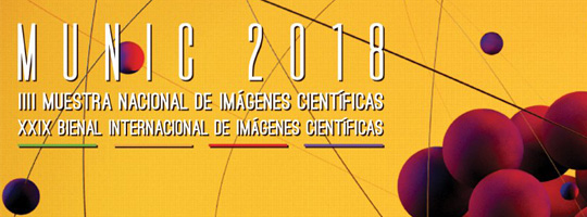 Tercera Muestra Nacional de Imágenes Científicas