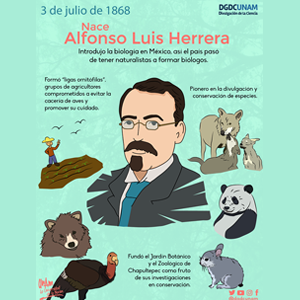 Alfonso Luis Herrera