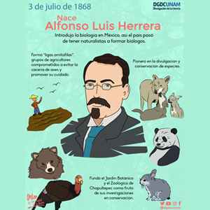 Alfonso Luis Herrera