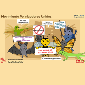 Movimiento polinizadores unidos