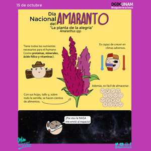 Día Nacional del Amaranto