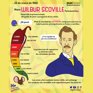 Wilbur Scoville