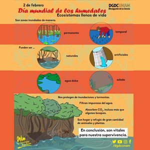 Día Mundial de los humedales 