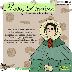 Mary Anning: recolectora de fósiles