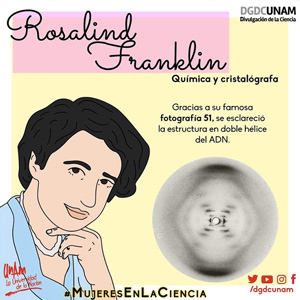 Rosalind Franklin: química y cristalógrafa