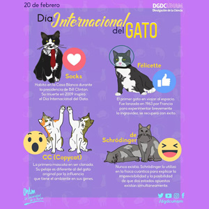 Día del gato