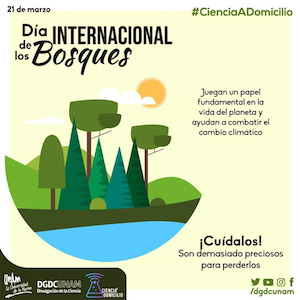 Día Internacional de los Bosques