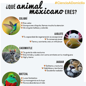 Animal mexicano favorito