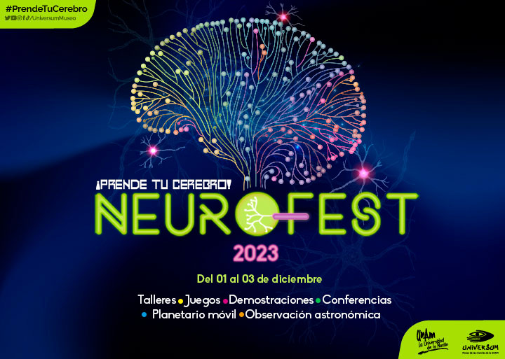 7º Festival de Neurociencias