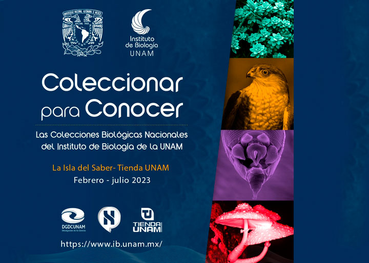 Coleccionar para conocer  
