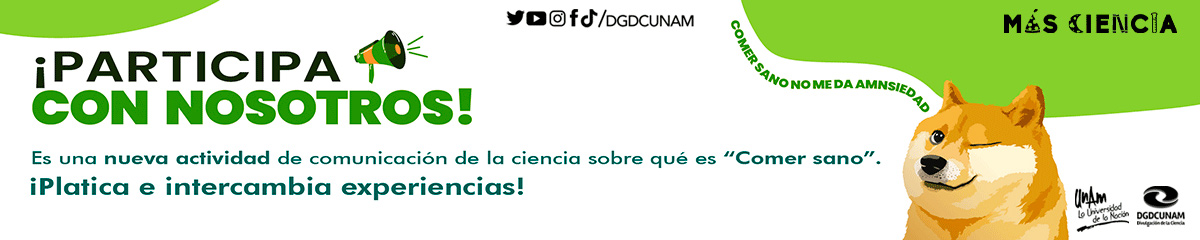 Comer sano