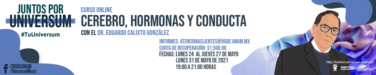 Curso en línea: 