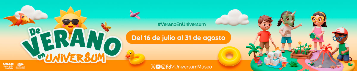 De verano en Universum 2025
