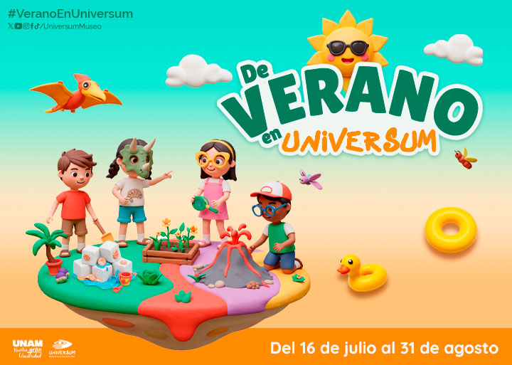 De verano en Universum 2025