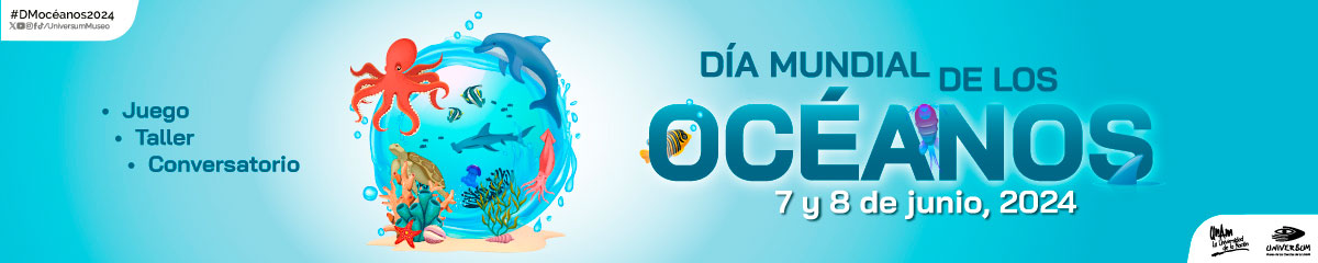 Día Mundial de los Océanos 2024