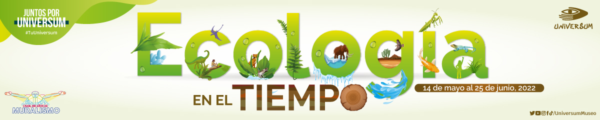 Ecología en el tiempo