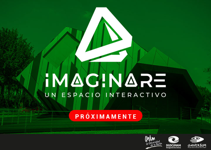 Imaginare