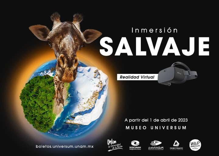 Inmersión salvaje