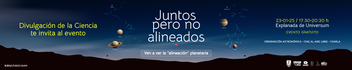 Juntos pero no alineados