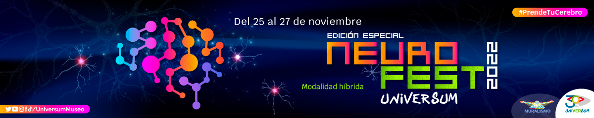 Sexto Festival de Neurociencias 