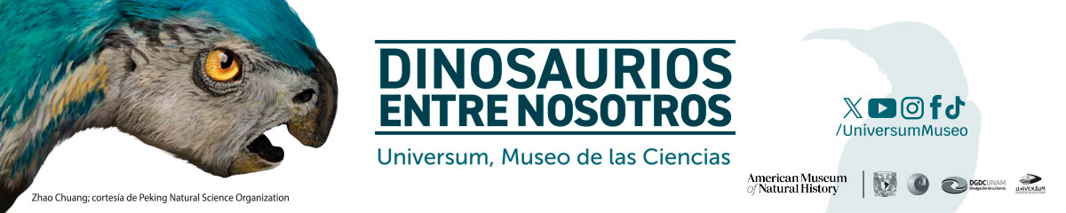 Programa de actividades Exposición Dinosaurios entre nosotros