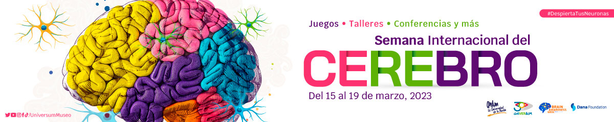 Semana Internacional del Cerebro 2023