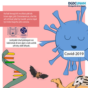 Coronavirus