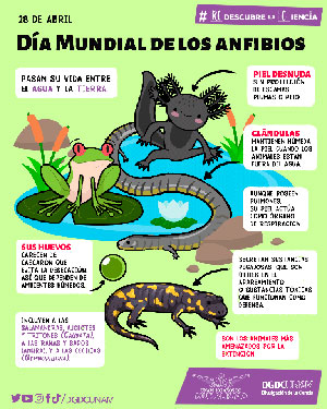 Día mundial de los anfibios
