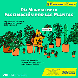 Día Mundial de la Fascinación por las Plantas