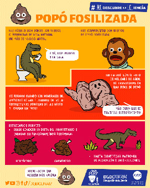 Popó fosilizada