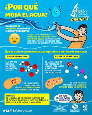 ¿Por qué moja el agua?